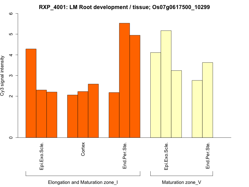 Rice Expression Profile Database: Root gene expression profile covering ...